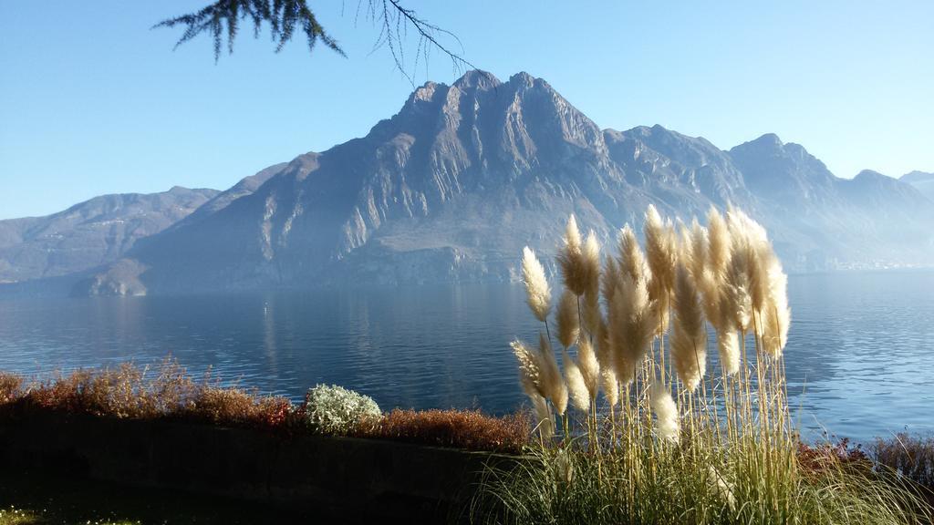 Iseolakerental - Casa Del Pescatore Riva di Solto Eksteriør billede